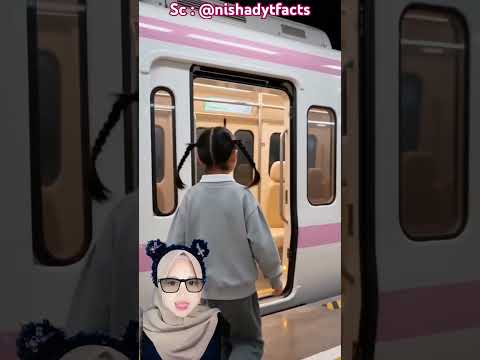 Naik Kereta Kucing Cute 😍 @nishadytfacts thumbnail