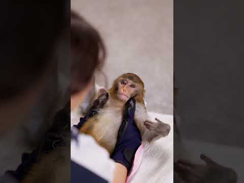 شفتوا فلوق عملت غابة لوردة 🙊⬇️⬆️ thumbnail
