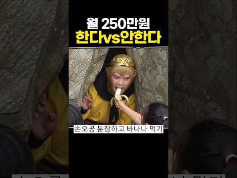 월 250만원 한다 vs 안한다 thumbnail