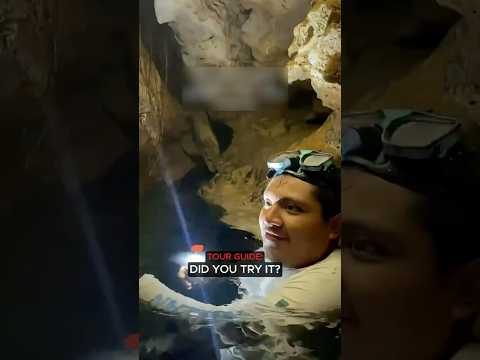 Tour Guide Almost Lost His Job After This thumbnail