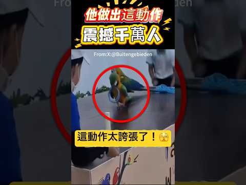 他做出這動作！震撼千萬人🫣 #動作 #動物 #shorts 小林Lin’s life thumbnail