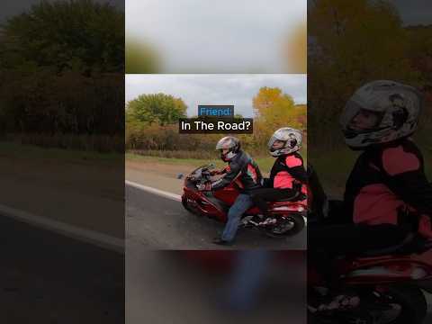 When Bikers Found Kitties Stranded In Traffic😳 thumbnail