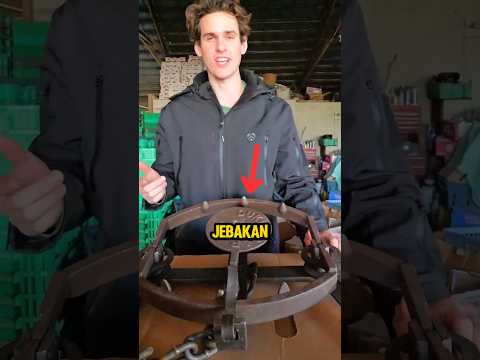 Jebakan Paling Kejam ini Ternyata Pernah Dipasang untuk Manusia❗😨 #shorts thumbnail