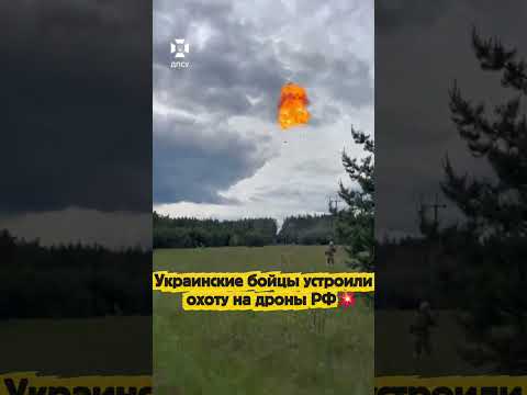 Украинские бойцы устроили охоту на дроны РФ💥 thumbnail