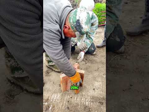Người đàn ông 20 năm làm phụ hồ với kỹ năng nhấc gạch đỉnh cao thumbnail