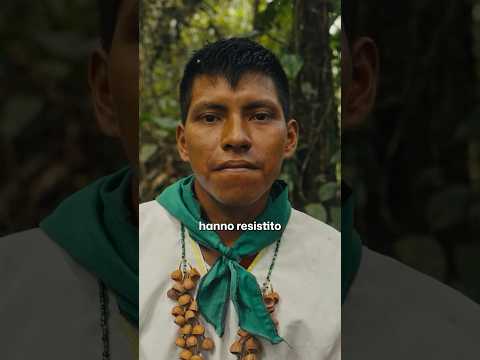 Chi sono gli abitanti della foresta amazzonica? #shorts #progettohappiness #amazonforest thumbnail