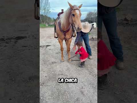 Este NOBLE ANIMAL sorprendió a TODOS con su INTELIGENCIA mientras la CHICA le DIRIGÍA thumbnail