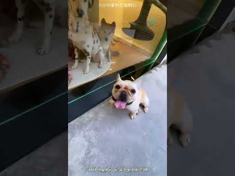 زوجته طردته من البيت لهذا السبب !! #shorts thumbnail