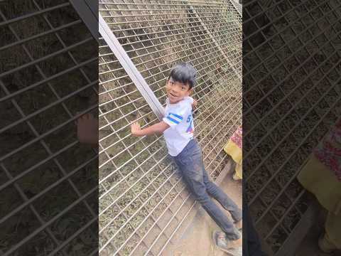 எங்க தலைக்கு எவ்வளவு தில்லு பாத்தியா?? #shorts #funny #love thumbnail