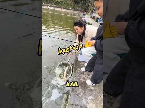 Hanya dengan Sosis, dapat ikan gede #shorts #shortviral thumbnail