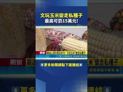 跨境網購"文玩玉米"竟發芽!? 買家挨罰一萬五 #三立live新聞 #shorts thumbnail