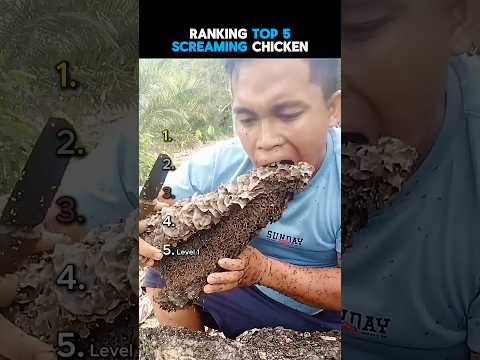 DON’T CHECK THE SOUND ?? thumbnail