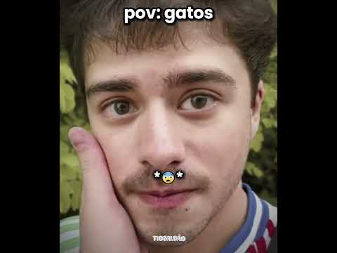 ele claramente tava amando kkkkk l #humor #engraçado #gatos #shorts thumbnail