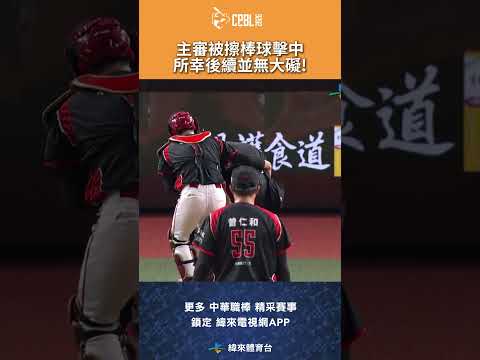 #CPBL 主審 #蔡豐澤  剛開賽就被擦棒球擊中所幸並後續無大礙，繼續執法! #富邦悍將 #味全龍 #味全龍主場 #中華職棒 #shorts thumbnail