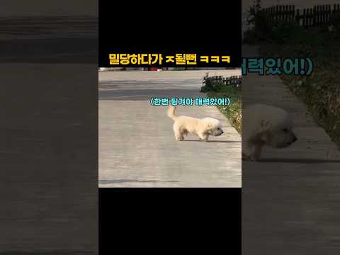밀당하가다 ㅈ될뻔 ㅋㅋㅋ thumbnail