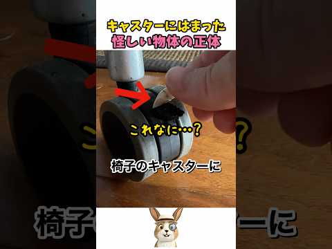 椅子のキャスターにはまった怪しい物体 thumbnail