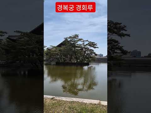 경복궁 나들이 경회루 넘 멋져요  #경복궁경회루 대한민국 대표 #관광명소 #우중의여인 #김용빈 #트로트#안중태tv #shorts thumbnail