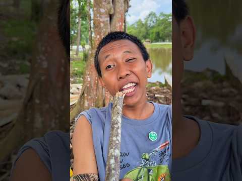 minta bagi donat stroberi ? thumbnail