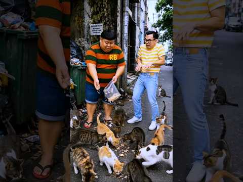 kucing kampung VS kucing rumahan, lucuan mana❓ thumbnail