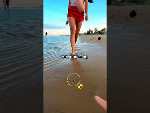 Hãy luôn mở mắt và chú ý quan sát khi đi trên bãi biển 😳 thumbnail