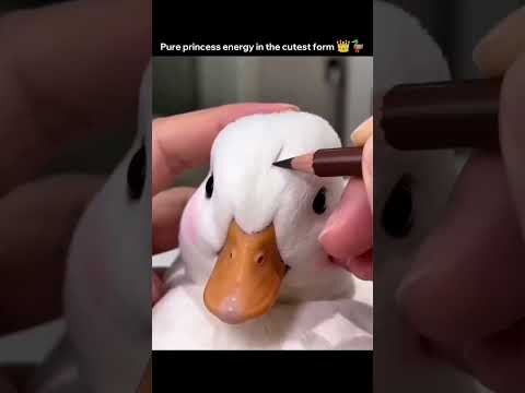 Pure princess energy in the cutest form 👑🦆 thumbnail