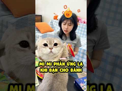 🙀 Mi Mi Phản Ứng Lạ Khi Bạn Thân Cho Bánh thumbnail