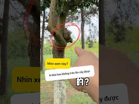 Trùng hợp đến vậy luôn sao? #shorts thumbnail