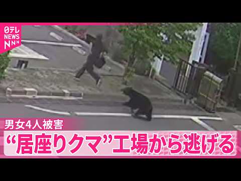 【居座りクマ】男女4人被害  工場から逃げる  福島市 thumbnail