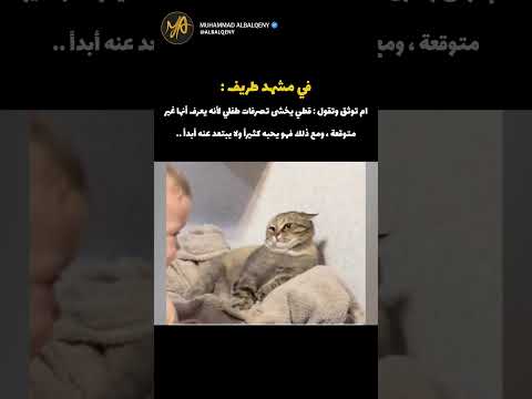 ردة فعل قطي عندما يلعب مع طفلي الرضيع #قطط #ضحك #كوميديات thumbnail