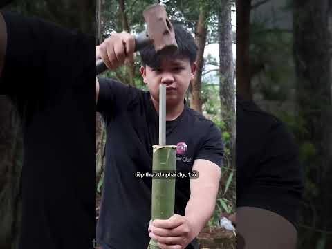 pháo tre thumbnail