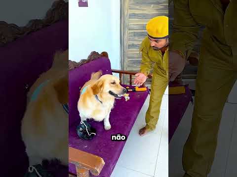 Este cachorro não tem medo de nada 😂❤️ thumbnail