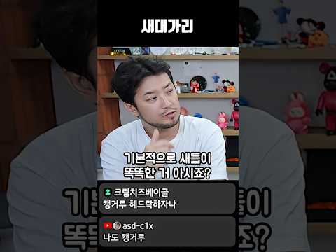 새대가리 thumbnail