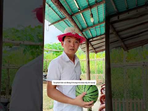 Phát hiện kẻ ăn vụng dưa hấu #shorts thumbnail
