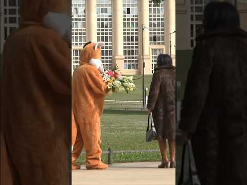 #fox #fur #flowers #remigaillard 🦊 thumbnail