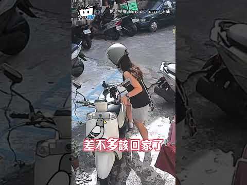 寵物鴿出門放風！見飼主騎車回家”飛上後座”搭順風車 #shorts thumbnail