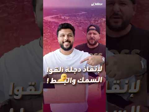 بط وسمك في دجلة.. ترند عراقي يهدف لإعادة الحياة الطبيعية إلي النهر فمتى يكون مفيدا حقا؟ 🇮🇶❤️ thumbnail