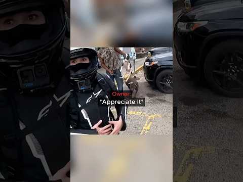 When Bikers Got Worried For This Puppy’s Situation… thumbnail