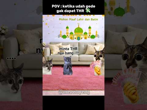 kalian mau THR berapa ? 💸😁 #lebaran #cat #memes #cutecat #lucu thumbnail