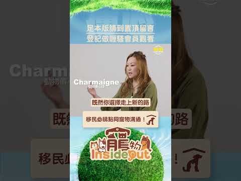 唔好話移民，就算去旅行前都要同主子「講耶穌」承諾自己幾時返㗎！#shorts thumbnail