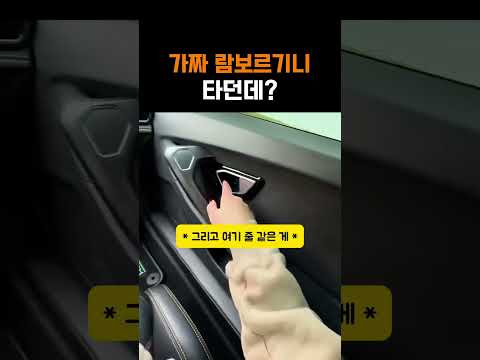 가짜 람보르기니 타던데? thumbnail