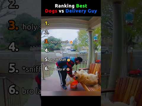 RANKING BEST DOGS VS DELIVERY GUY #funny #dog thumbnail