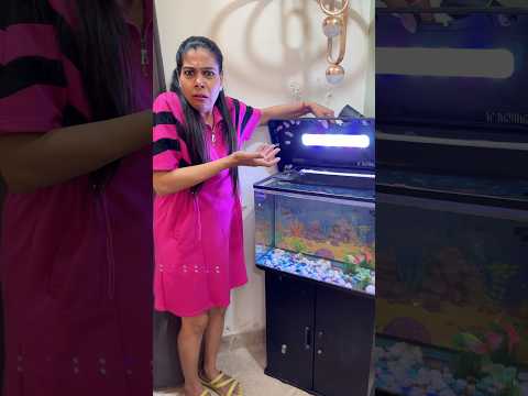 Aquarium Mai Kiske Bacche Paida Hogae ?? ??? #fish #fishing #aquarium #aquarius #fishes #minivlog thumbnail