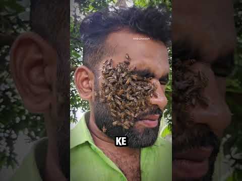Real Manusia Lebah ⁉️😲 thumbnail