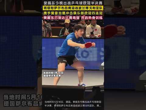 当地时间5月16日，德国。樊振东今晚出战乒乓球欧冠半决赛，将领衔萨尔布吕肯迎战波兰博戈利亚队，携手莫雷加德冲击俱乐部欧冠四连冠，樊振东已到达比赛场馆开启热身训练。#樊振东携手莫雷加德冲击欧冠 thumbnail