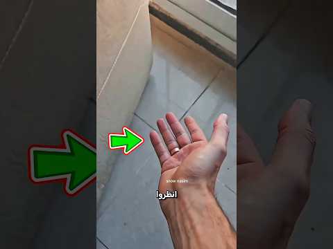 ?? البكتيريا تحت الأريكة صدمت الجميع! #catsoftiktok #cat #cute #funnycats #fyp #cutecat thumbnail