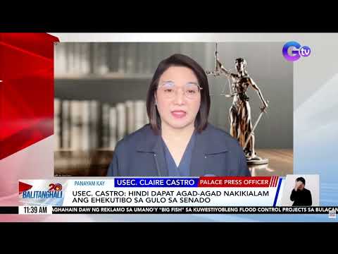 'Kuwento lang 'yan ni Sen. Cayetano' -  Castro sa umano'y "political pressure" | GMA News thumbnail