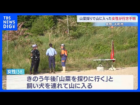 「山菜を採りに行く」山に入った50代女性が行方不明　飼い犬も見つからず　長野・大町市｜TBS NEWS DIG thumbnail