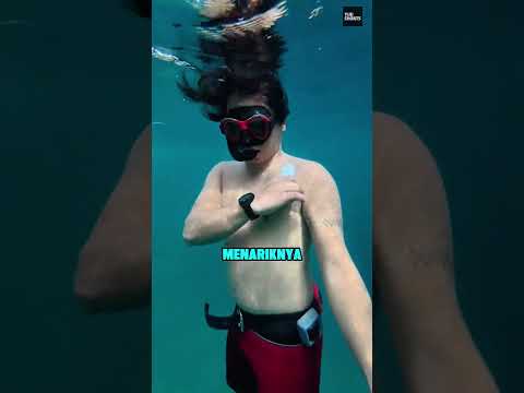 Jangan Langsung Tarik Ikan Ini ? thumbnail