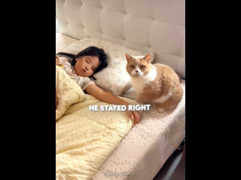 This cat took care of his owner ??? thumbnail