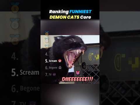 Ranking FUNNIEST DEMON CATS Core Moments!! 🐱👺 thumbnail